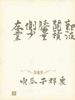 左侧膝关节髌上囊少量积液
