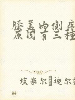 膝盖内侧疼痛的原因有三种