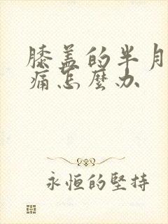 膝盖的半月板疼痛怎么办
