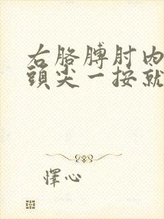 右胳膊肘内侧骨头尖一按就疼