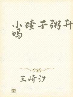 小碴子粥升血糖吗