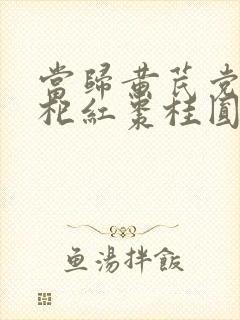 当归黄芪党参枸杞红枣桂圆能一起煮水喝吗
