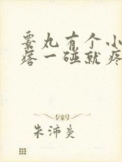 睾丸有个小硬疙瘩一碰就疼