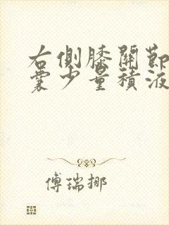 右侧膝关节髌上囊少量积液
