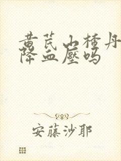 黄芪山楂丹参能降血压吗