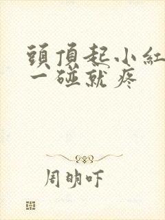 头顶起小红疙瘩一碰就疼