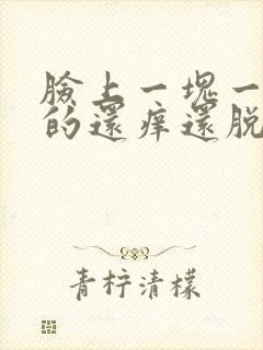 脸上一块一块红的还痒还脱皮怎么办封面