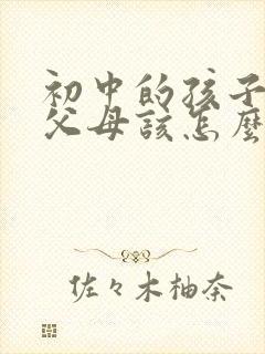 初中的孩子叛逆父母该怎么办