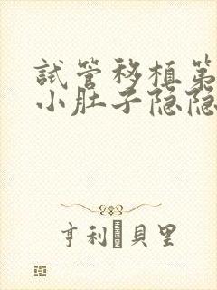 试管移植第三天小肚子隐隐约约疼