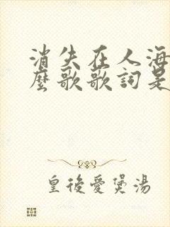 消失在人海是什么歌歌词是什么意思