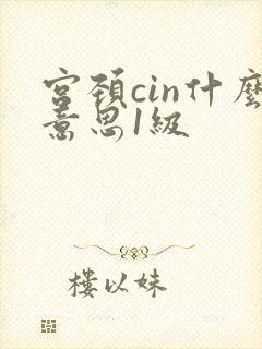 宫颈cin什么意思1级封面