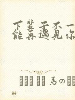 下辈子不一定还能再遇见你封面