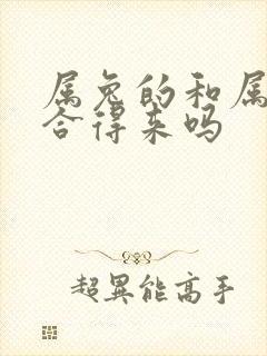 属兔的和属龙的合得来吗封面