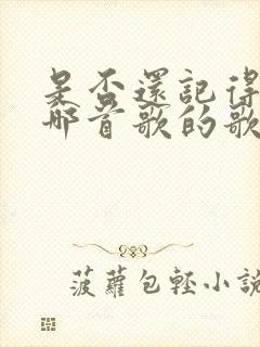 是否还记得我是哪首歌的歌词