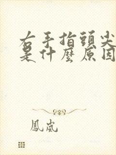 右手指头尖发麻是什么原因