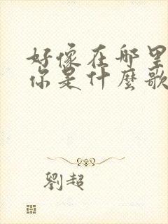 好像在哪里见过你是什么歌的歌词