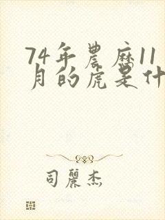 74年农历11月的虎是什么命