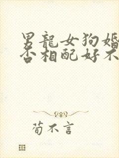 男龙女狗婚姻是否相配好不好