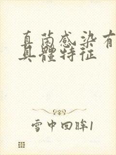 真菌感染有哪些具体特征