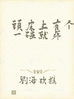 头皮上有个疙瘩一碰就疼