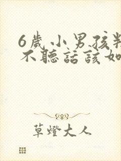 6岁小男孩叛逆不听话该如何管教?封面