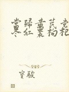 当归黄芪党参麦冬红枣枸杞