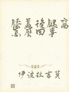膝盖后腿窝疼是怎么回事
