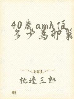 40岁amh值多少为卵巢功能减退封面