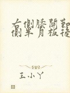 右侧膝关节内外侧半月板后角变性