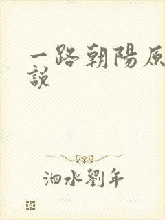 一路朝阳原著小说封面