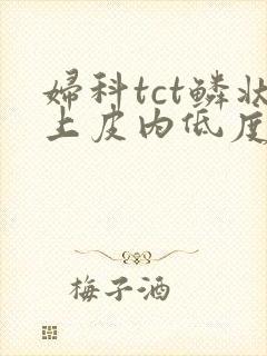 妇科tct鳞状上皮内低度病变是什么意思
