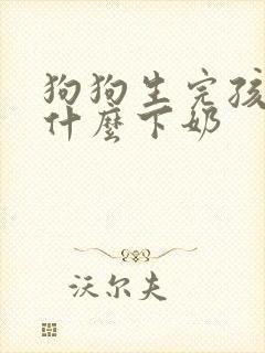 狗狗生完孩子吃什么下奶