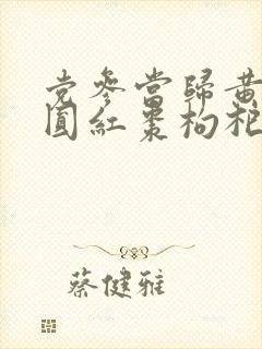 党参当归黄芪桂圆红枣枸杞
