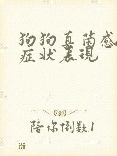 狗狗真菌感染的症状表现