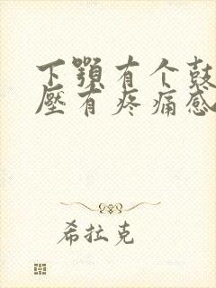 下颚有个鼓包按压有疼痛感