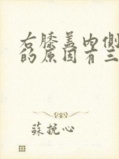 右膝盖内侧疼痛的原因有三种
