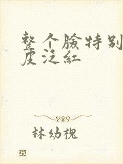 整个脸特别干脱皮泛红