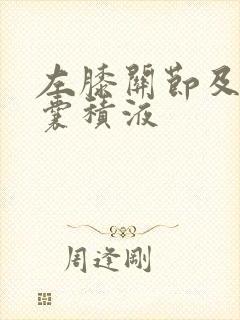 左膝关节及髌上囊积液