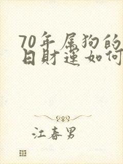 70年属狗的今日财运如何