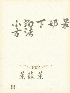 小狗下奶最快的方法