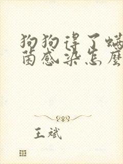 狗狗得了螨虫真菌感染怎么办