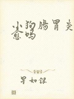 小狗肠胃炎能自愈吗