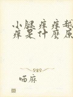 小腿痒痒越挠越痒是什么原因