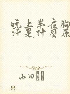 晚上半夜胸口出汗是什么原因封面