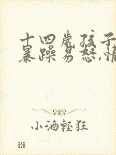 十四岁孩子脾气暴躁易怒,情绪不受控制封面