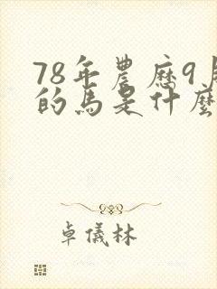 78年农历9月的马是什么命封面