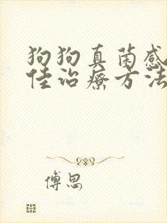 狗狗真菌感染最佳治疗方法