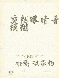 突然眼睛看东西模糊