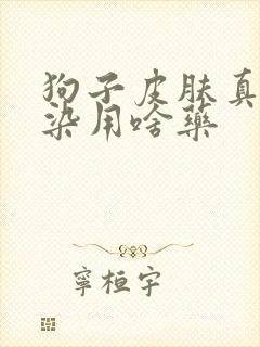 狗子皮肤真菌感染用啥药