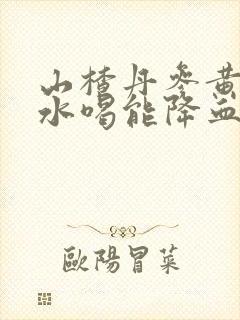 山楂丹参黄芪泡水喝能降血脂吗